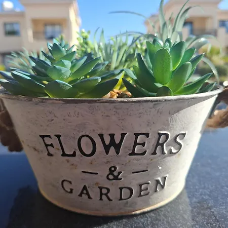 Sunny Διαμέρισμα *