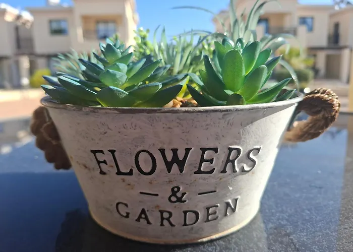 Sunny Διαμέρισμα *